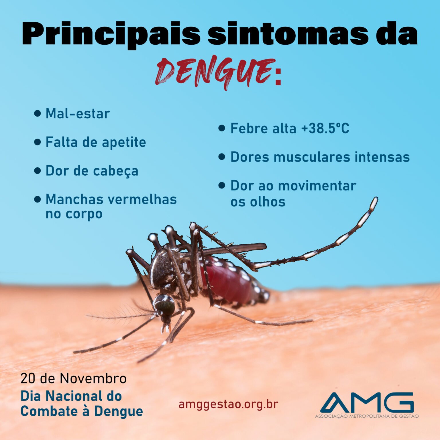 Quais são os principais sintomas da dengue? AMG Gestão
